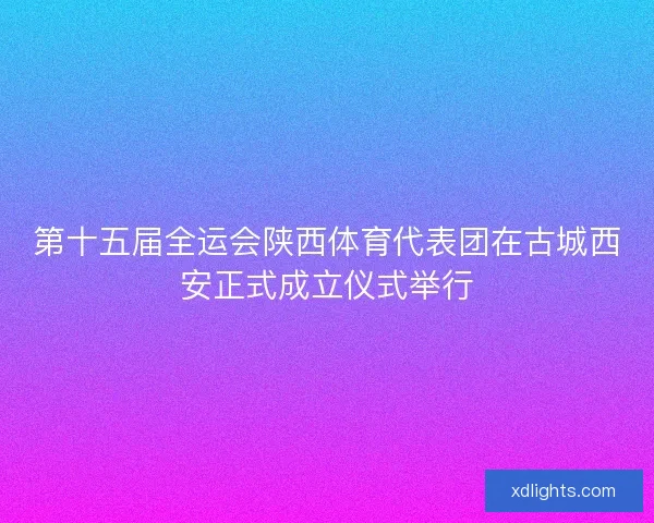 第十五届全运会陕西体育代表团在古城西安正式成立仪式举行
